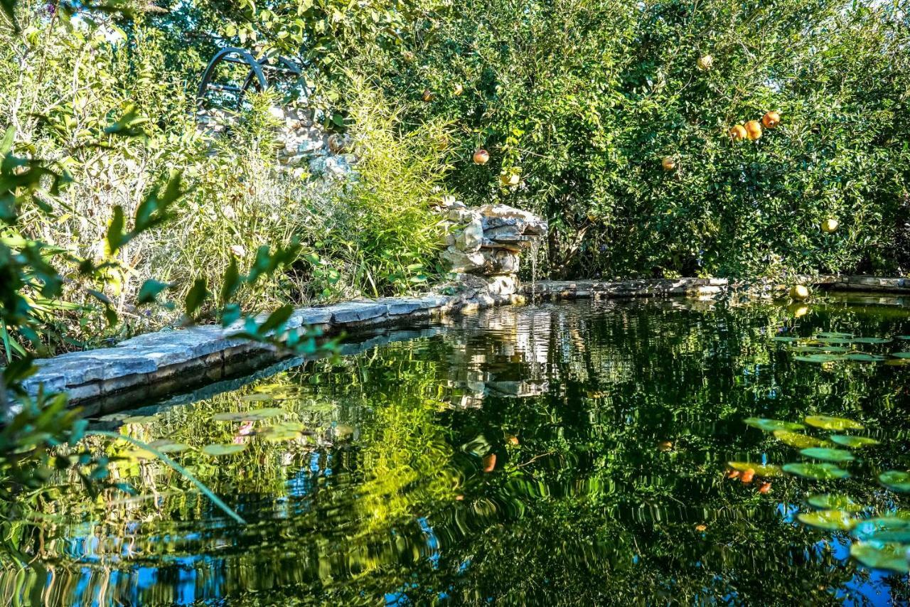 Home Away From Home With Outdoor Pool, Botanical Garden And A Beautiful Sea View Kaštela Exteriör bild